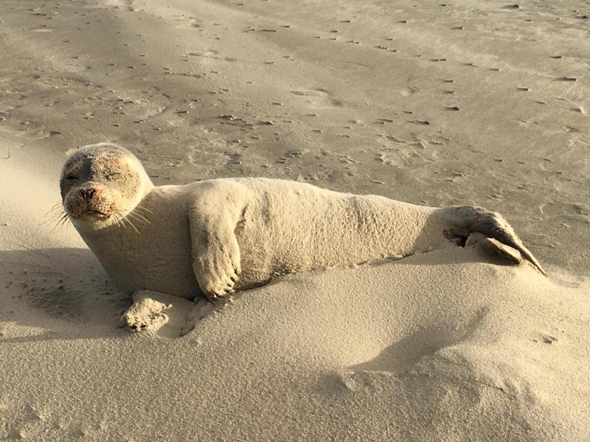 Appartamento Sternenlicht Norderney Esterno foto
